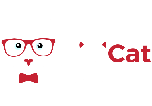 DiviWP Logo